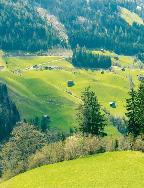 Schoesserhof Villa Zell am Ziller Esterno foto